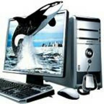 电子产品下的脱发危机与实用小偏方